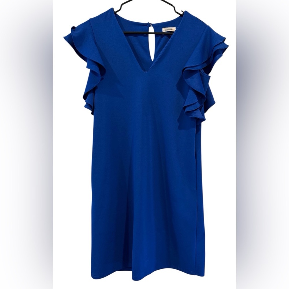 First Love Blue Ruffled Sleeve Dress